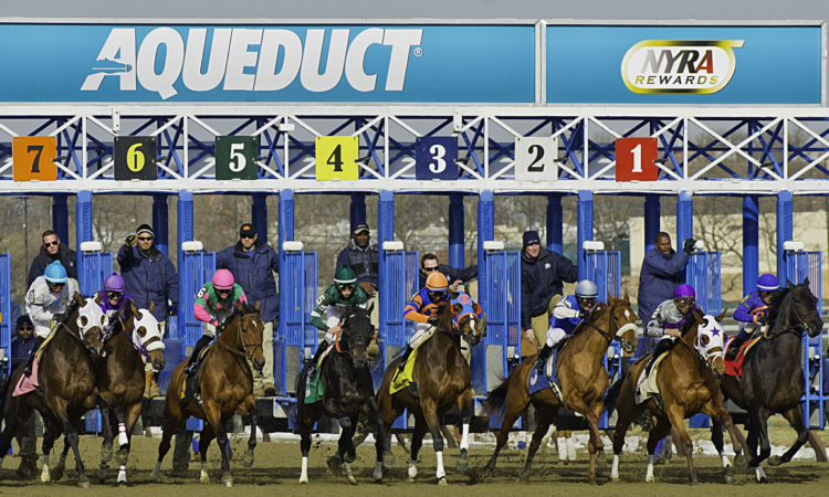 Belmont at the Big A Picks