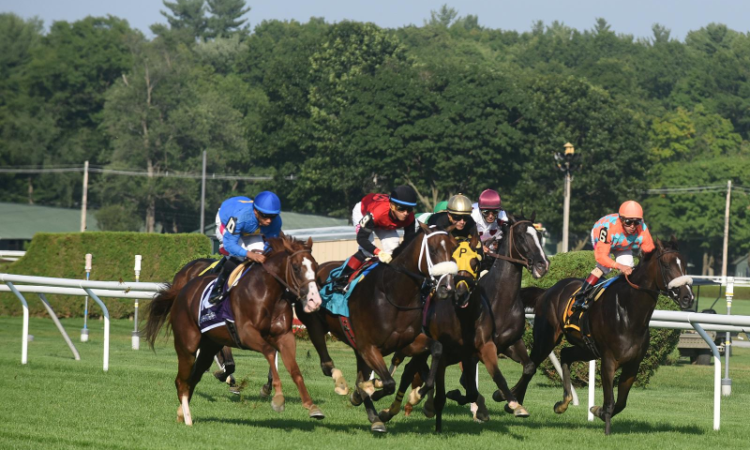 Saratoga Turf Picks