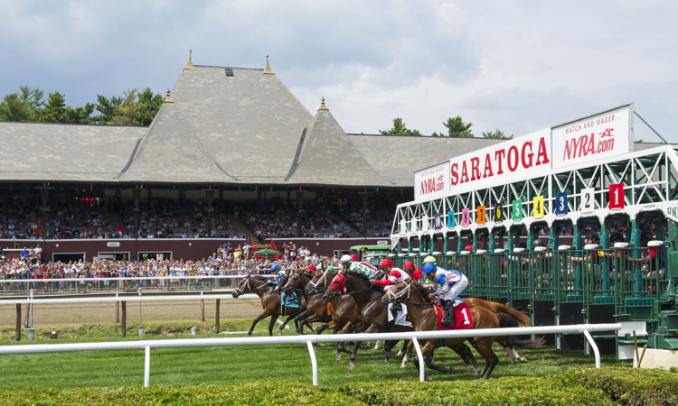 Saratoga Turf