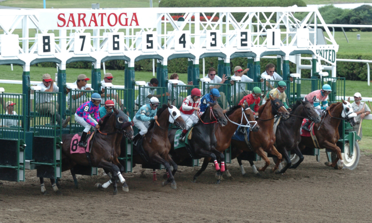 Saratoga Dirt Gate