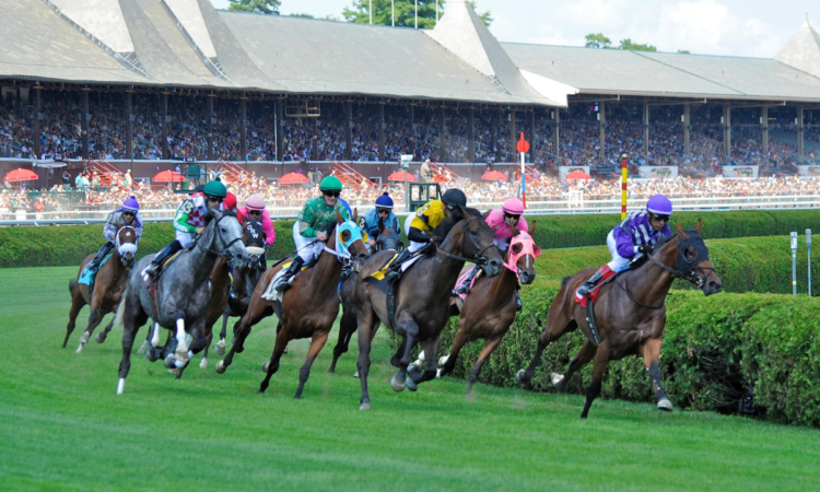 Saratoga Picks- Turf