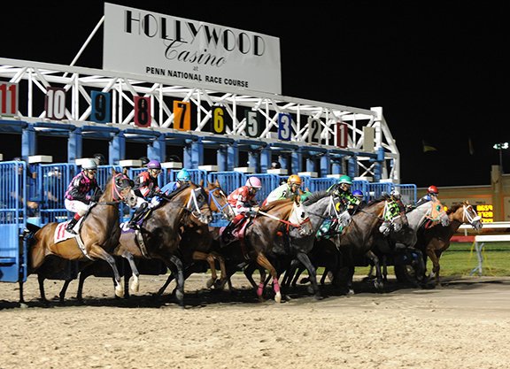Penn National Picks: Penn Mile Stakes (5/29/2026)