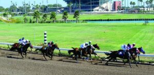 Los Alamitos Picks: Grade 2 Great Lady M. Stakes (7/4/2026)