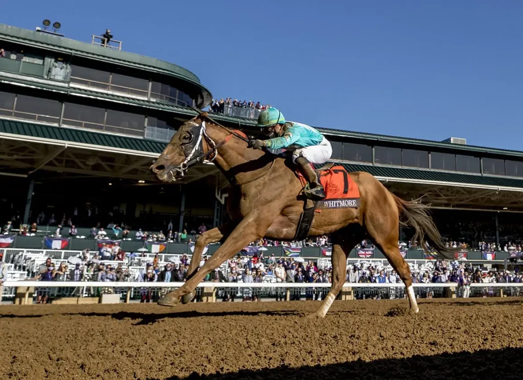 Whitmore wins easily in the Breeders' Cup