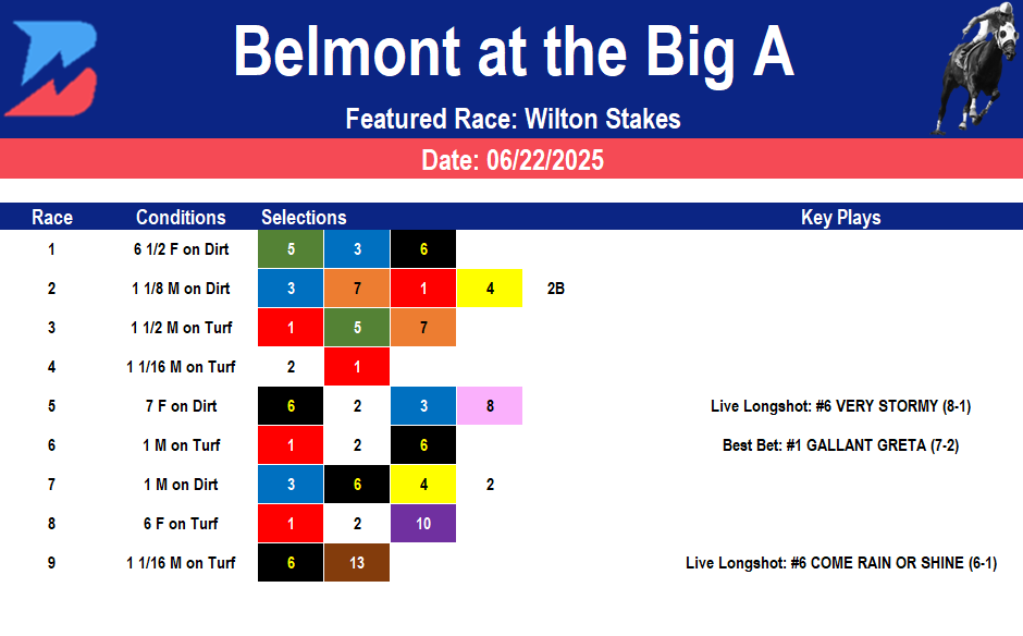 Belmont Picks- Wilton Stakes (06/22/2025)