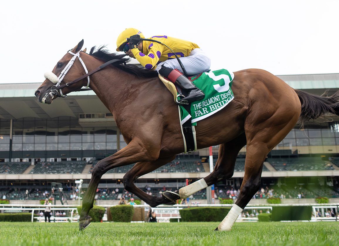 Horse funning a race in front of a crowd