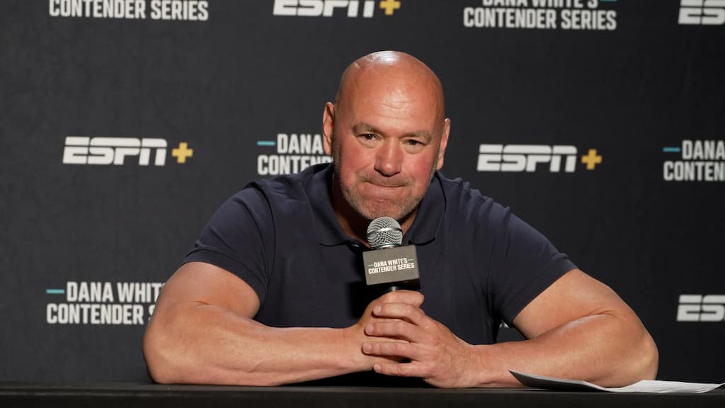 Dana White, the president and CEO of the UFC