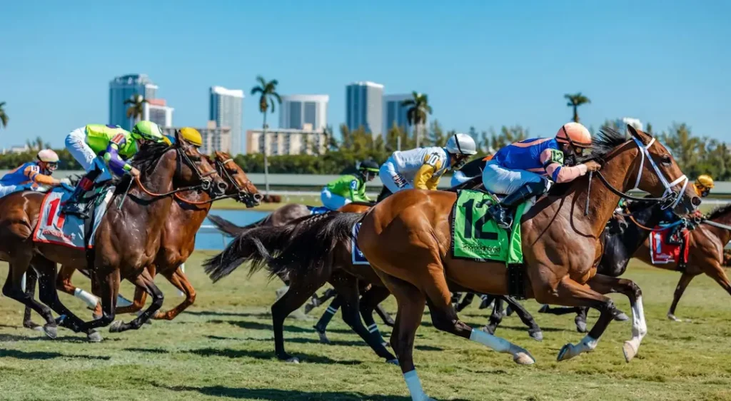 Gulfstream Park Horses Jockeying for Position