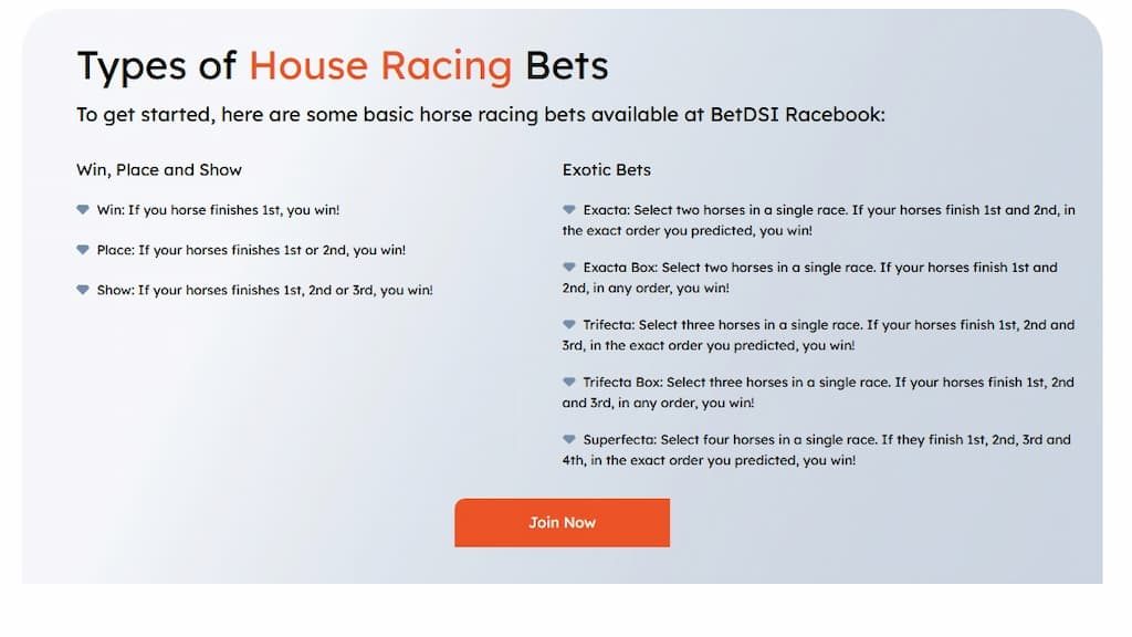 BetDSI Racebook's guide to the types of bets that can be made on horse races