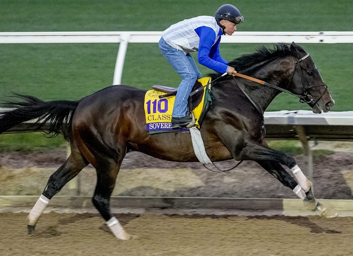 Horse trains with an exercise rider