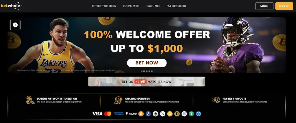 BetWhale Sportsbook FI Nov 2025