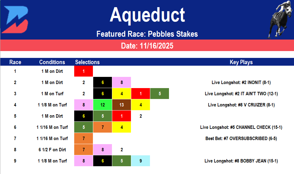 Aqueduct Picks: Pebbles Stakes (11/16/2025)