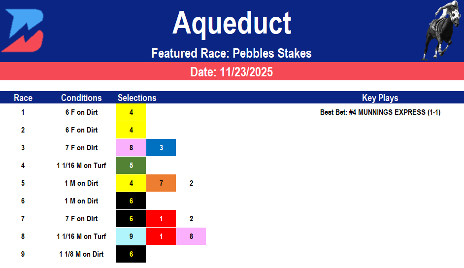 Aqueduct Picks: Grade 3 Rescheduled Pebbles Stakes (11/23/2025)
