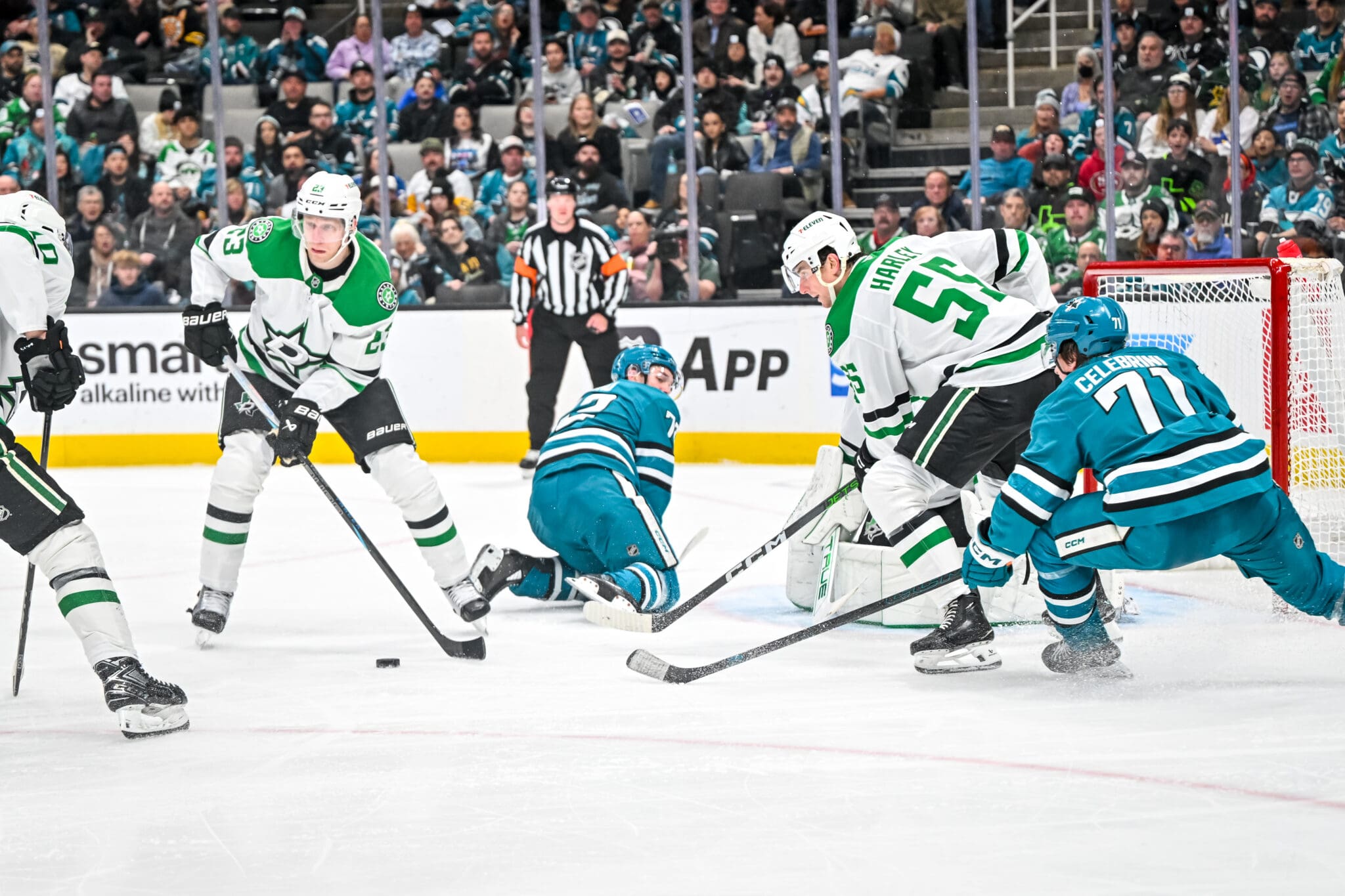 Thomas Harley and Macklin Celebrini