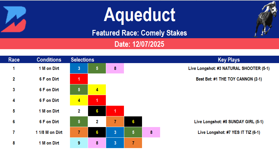 Aqueduct Picks: Grade 3 Comely Stakes (12/07/2025)