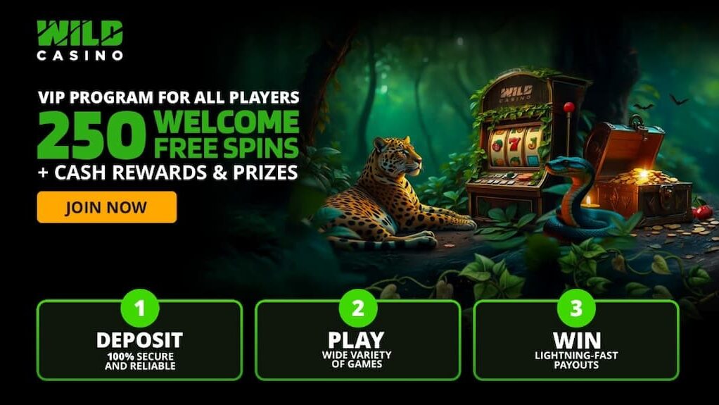 Wild Casino welcome bonus free spins