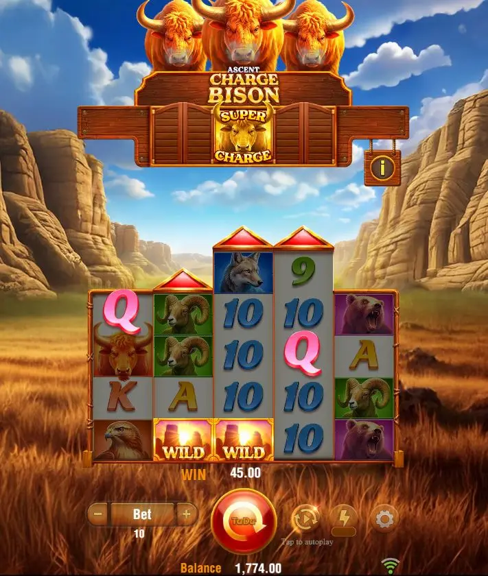 charge bison ascent main features
