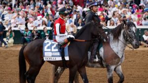 Preakness Stakes Q&A with Horse Racing Handicapper Chris Adams