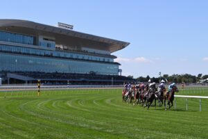 Belmont Park Picks: Grade 1 Turf Classic Stakes (9/26/2026)